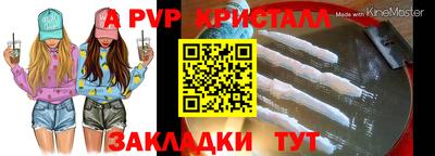 гашик Донской