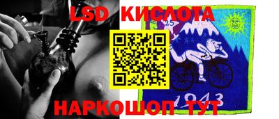 гашик Донской