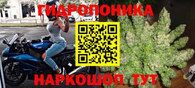 гидра Балахна